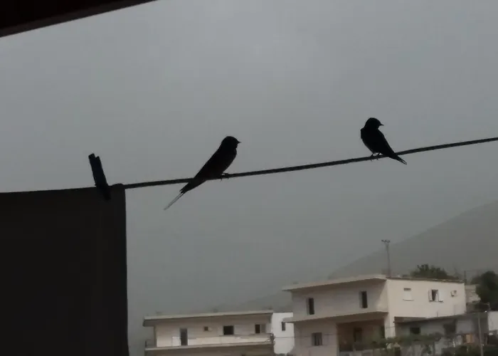 Sunset Guest house 3*